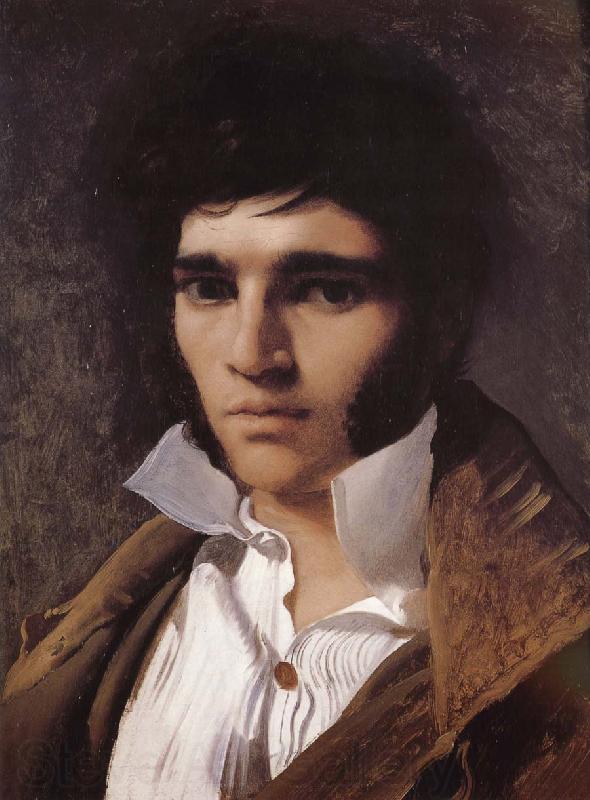 Jean-Auguste Dominique Ingres Portrait of Paul Spain oil painting art